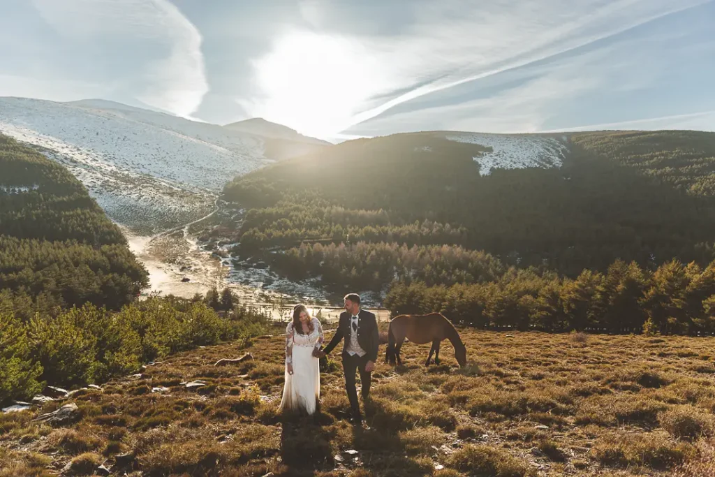 Postboda con yegua y potro al atardecer en Puerto de la Ragua